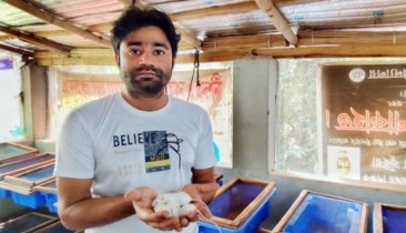 শখের বশে ইঁদুর পুষে স্বাবলম্বী রাবির মামুন