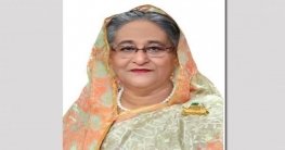 কন্যাশিশুদের সুদক্ষ নাগরিক হিসেবে গড়ে তুলতে সরকার বদ্ধপরিকর