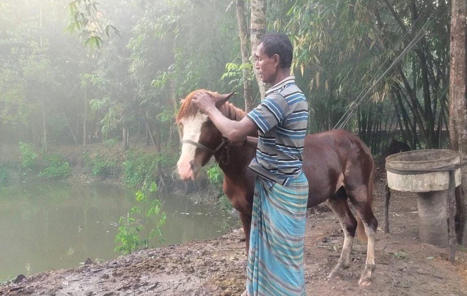 হারিয়ে যাওয়া ঘোড়া পেয়ে বেজায় খুশি দিনমজুর হাবিবুর হারিয়ে যাওয়া ঘোড়া পেয়ে বেজায় খুশি দিনমজুর হাবিবুর