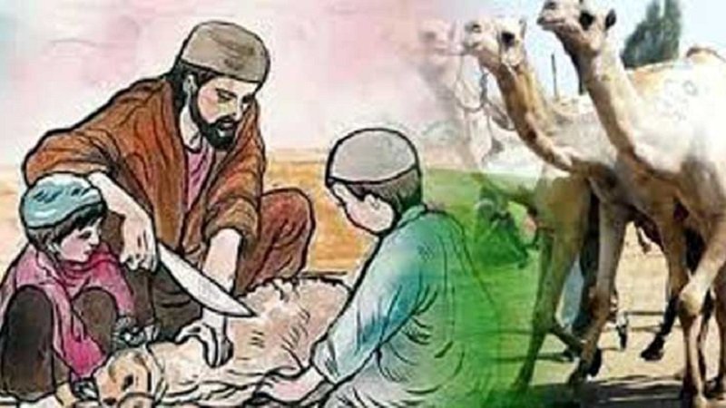 কোরবানিতে ৭ নাম থাকা আবশ্যক কি? কোরবানিতে ৭ নাম থাকা আবশ্যক কি?