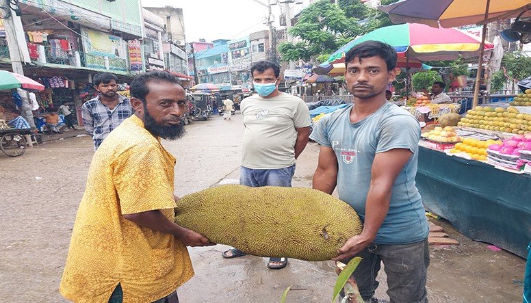 দেড় মণ ওজনের কাঁঠাল, বিক্রি হলো কত টাকায় 