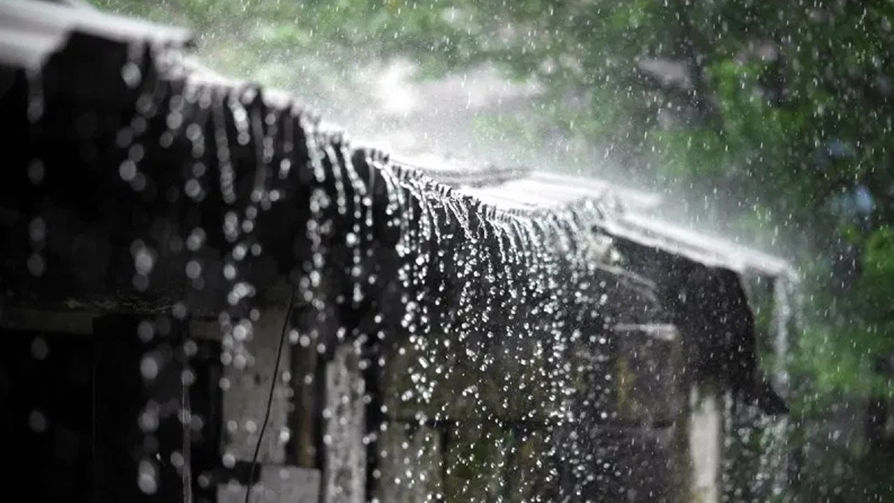 সাগরে লঘুচাপ, ভারি বর্ষণ হতে পারে যেসব বিভাগে