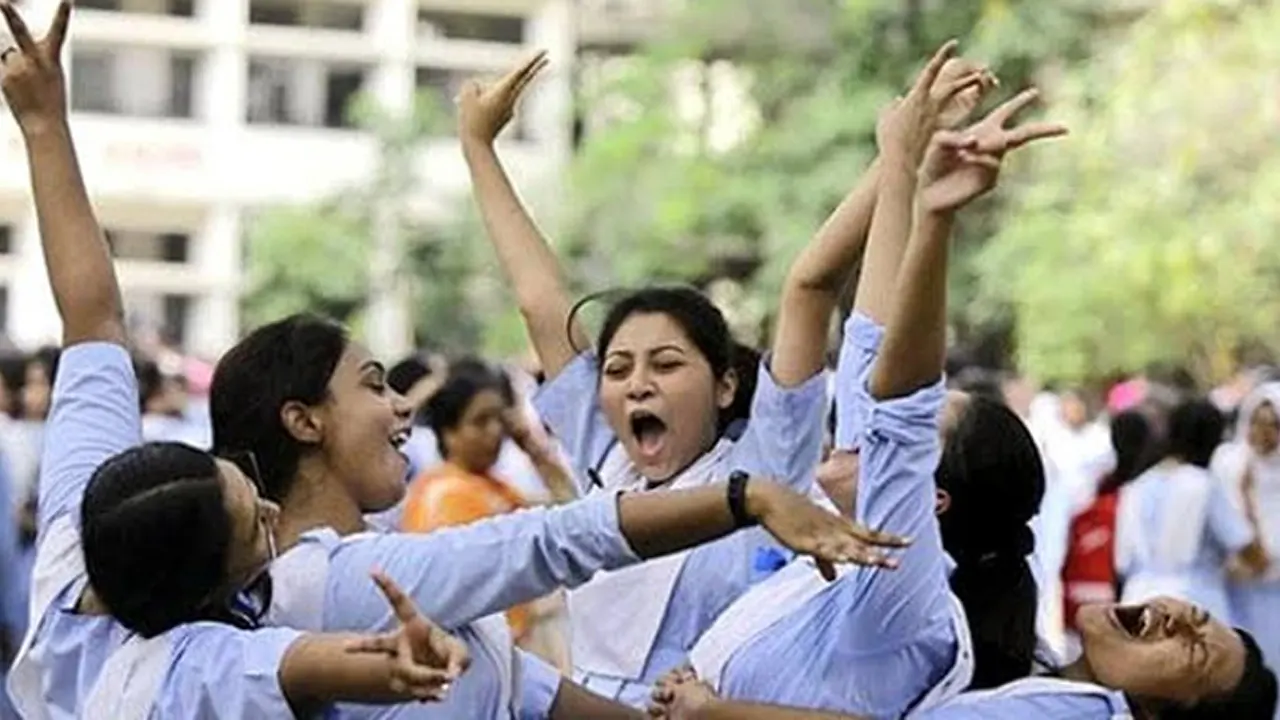 ৩৪৫ প্রতিষ্ঠানে সবাই পাস