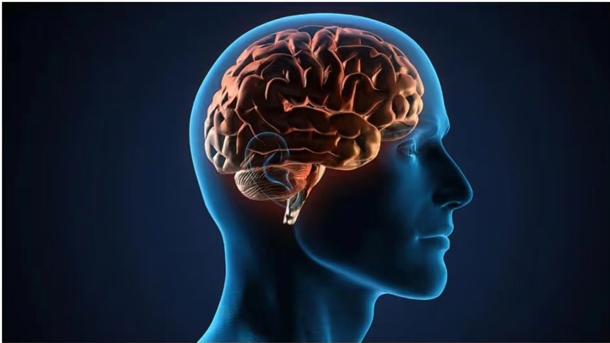 কিছু সাধারণ ভুল আপনার মস্তিষ্ক নষ্ট করে দিচ্ছে না তো? কিছু সাধারণ ভুল আপনার মস্তিষ্ক নষ্ট করে দিচ্ছে না তো?