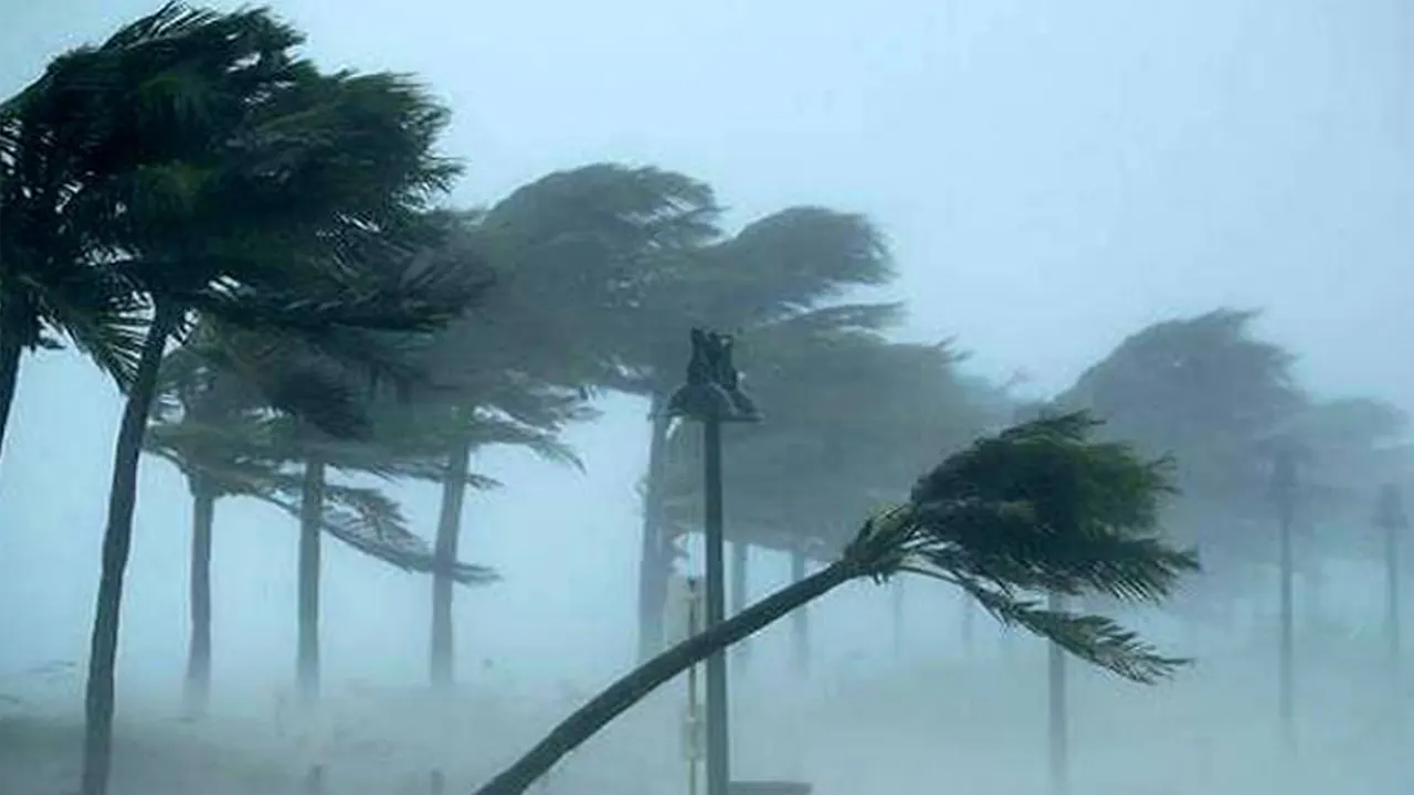 দুপুরের মধ্যে ৬ জেলায় ঝড়বৃষ্টির আভাস দুপুরের মধ্যে ৬ জেলায় ঝড়বৃষ্টির আভাস