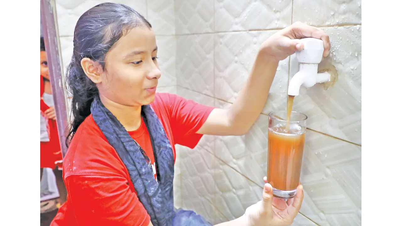 ঢাকায় ওয়াসার পানিতে পোকা ময়লা দুর্গন্ধ