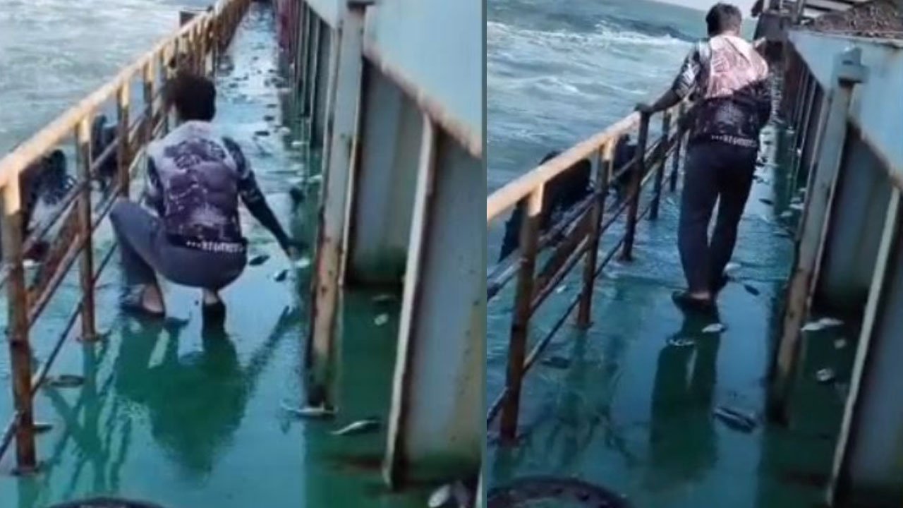 জাহাজের ডেকে উঠে এলো ঝাঁকে ঝাঁকে ইলিশ