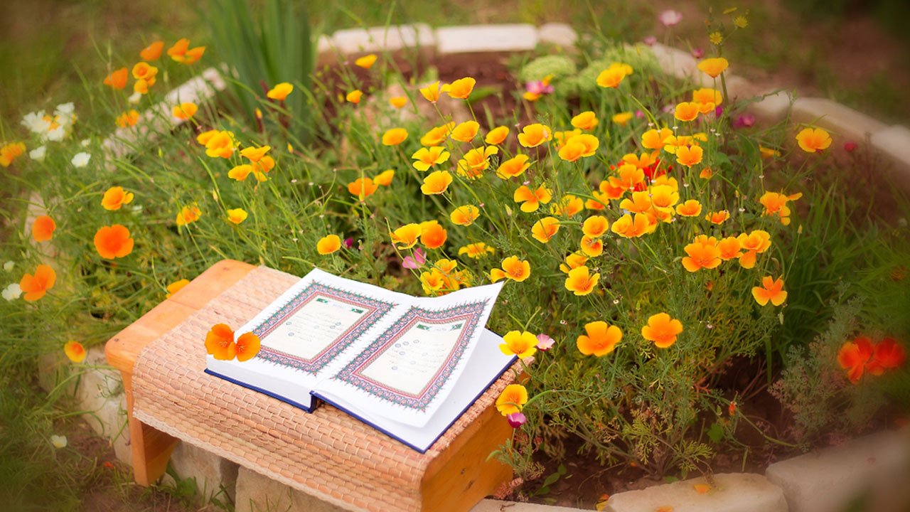 জান্নাতে নবী-রাসুলদের সঙ্গে সাক্ষাতের সুযোগ পাবেন যারা জান্নাতে নবী-রাসুলদের সঙ্গে সাক্ষাতের সুযোগ পাবেন যারা