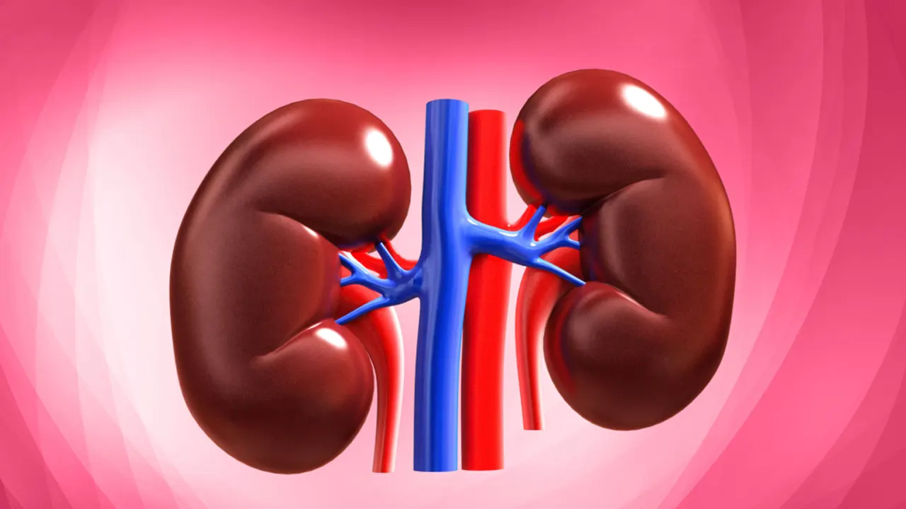 শরীরে নীরব ঘাতক ক্রনিক কিডনি ডিজিজ, জেনে নিন ৮ লক্ষণ শরীরে নীরব ঘাতক ক্রনিক কিডনি ডিজিজ, জেনে নিন ৮ লক্ষণ