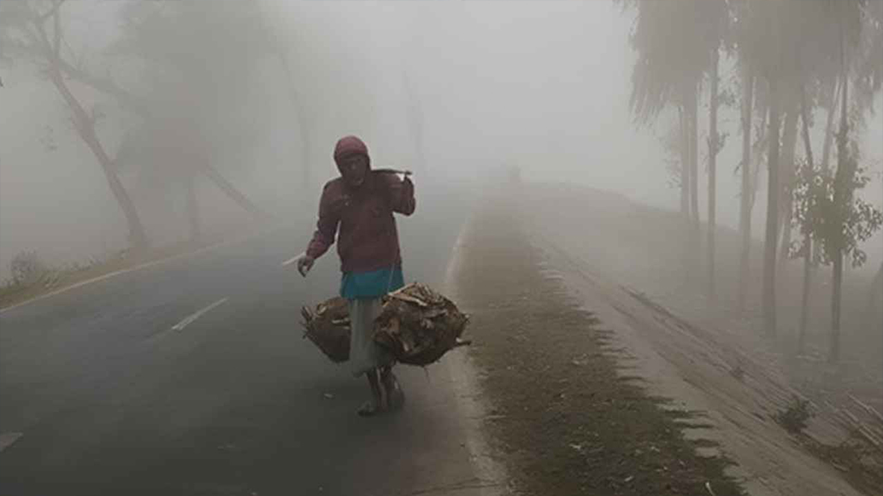 টানা শৈত্যপ্রবাহে চুয়াডাঙ্গায় বিপর্যস্ত জনজীবন