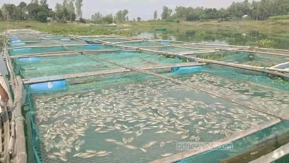 বগুড়া ৫ আসনের বিএনপির এমপির বিরুদ্ধে গুরুতর অভিযোগ।বিপাকে পরিবেশসহ জনজীবন।বিস্তারিত বগুড়া ৫ আসনের বিএনপির এমপির বিরুদ্ধে গুরুতর অভিযোগ।বিপাকে পরিবেশসহ জনজীবন।বিস্তারিত