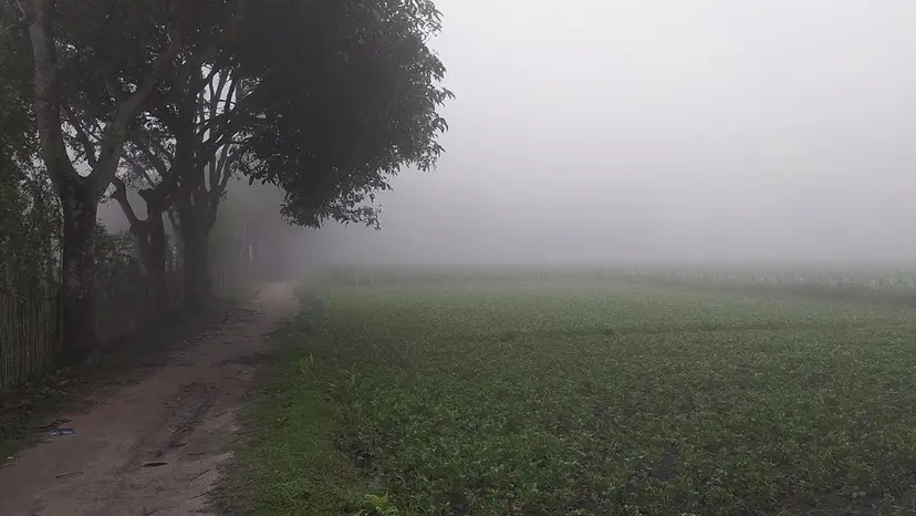 চৈত্রের ভোরে ঘন কুয়াশায় ঢাকা পড়েছে পঞ্চগড়