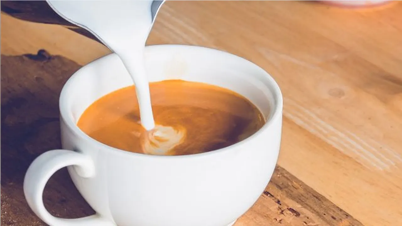 দুধ দিয়ে কফি খাওয়া ভালো নাকি ক্ষতিকর, জানাল গবেষণা দুধ দিয়ে কফি খাওয়া ভালো নাকি ক্ষতিকর, জানাল গবেষণা
