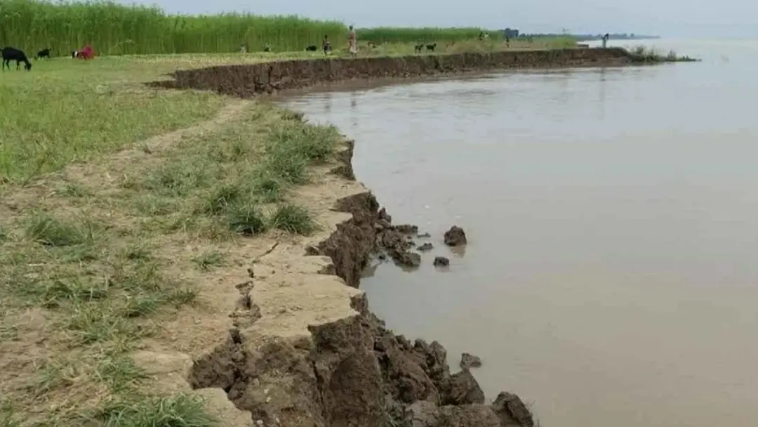 গোয়ালন্দে অসময়ে পদ্মার ভাঙনে বিলীন হচ্ছে কৃষি জমি-বসতভিটা