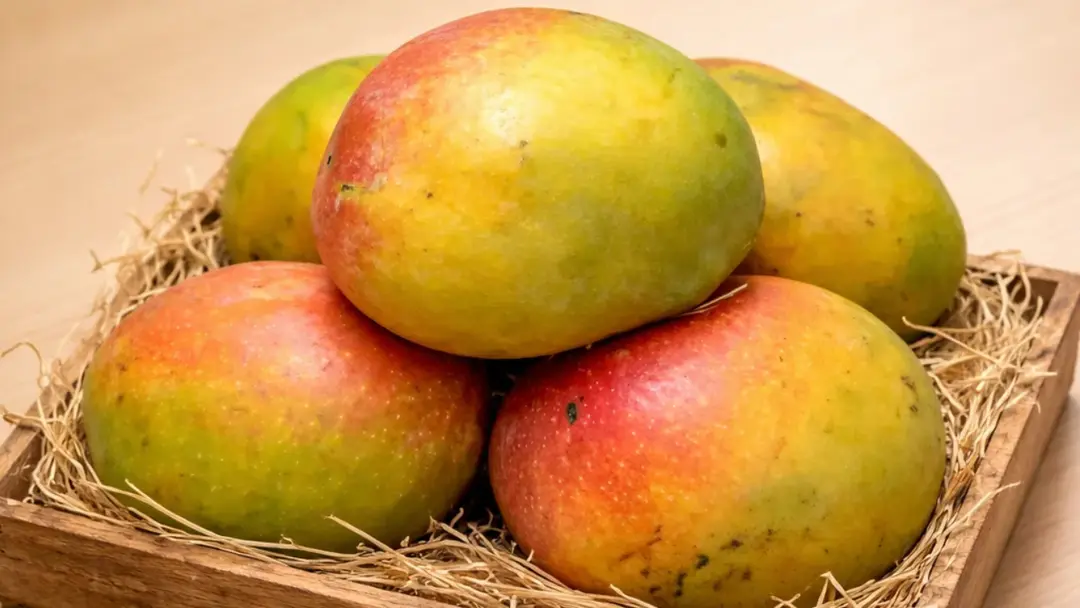 ভালো আম চিনবেন কীভাবে