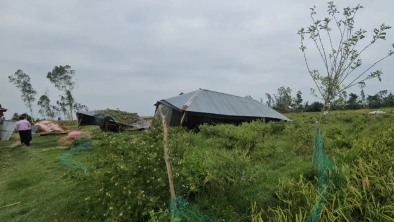 কালবৈশাখীর তাণ্ডবে লণ্ডভণ্ড গাইবান্ধা, আশ্রয়হীন শতাধিক পরিবার কালবৈশাখীর তাণ্ডবে লণ্ডভণ্ড গাইবান্ধা, আশ্রয়হীন শতাধিক পরিবার