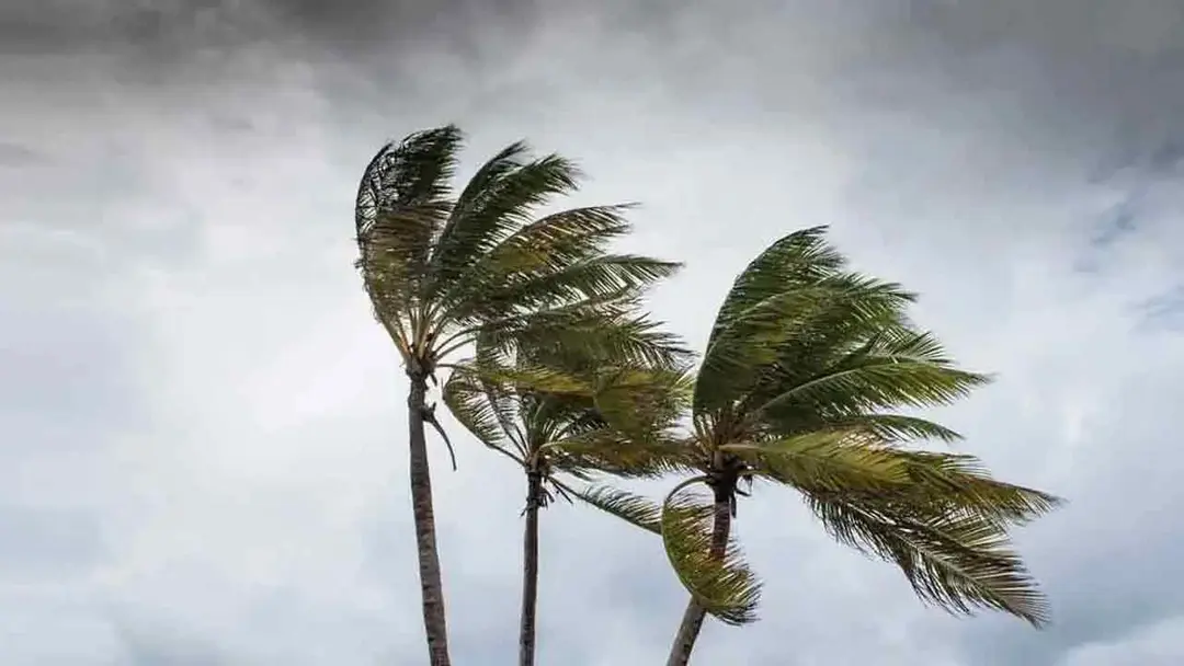 চট্টগ্রাম-কক্সবাজারে ঝড়বৃষ্টির আশঙ্কা, নদীবন্দরে সতর্ক সংকেত চট্টগ্রাম-কক্সবাজারে ঝড়বৃষ্টির আশঙ্কা, নদীবন্দরে সতর্ক সংকেত