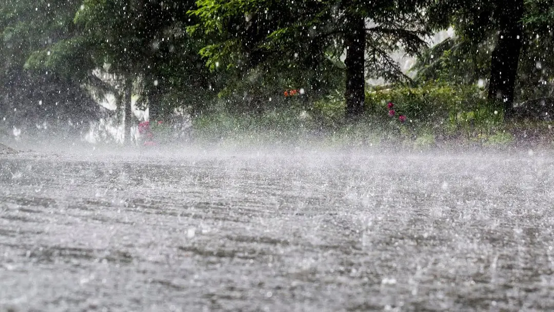 ৪৮ ঘণ্টায় ভারী বৃষ্টির আভাস, হতে পারে জলাবদ্ধতা ৪৮ ঘণ্টায় ভারী বৃষ্টির আভাস, হতে পারে জলাবদ্ধতা